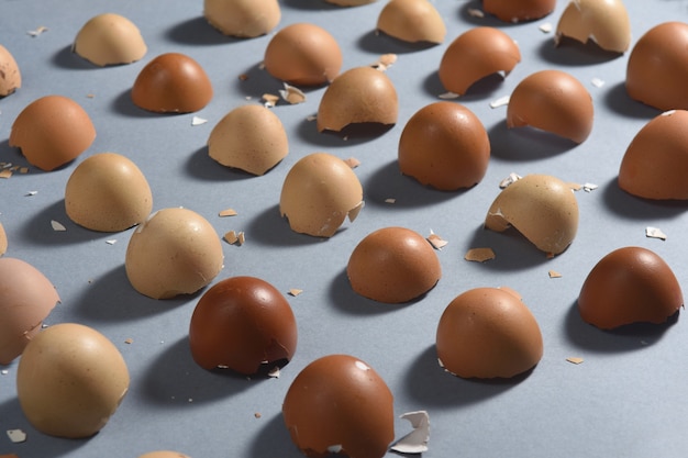 Eggshells in row upside down on gray background