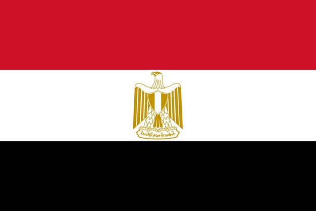 Photo egypt flag in official colors and proportion correctly