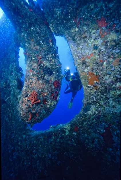 EGYPT, Red Sea, the wreck of a sunken ship and a scuba diver