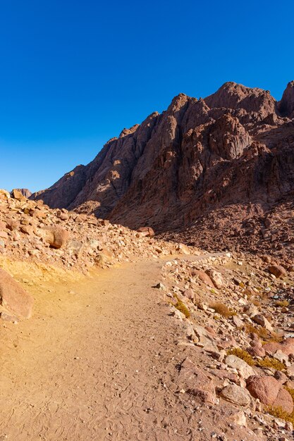 Egypt, trail to Mount Moses on a bright sunny day, mountain view