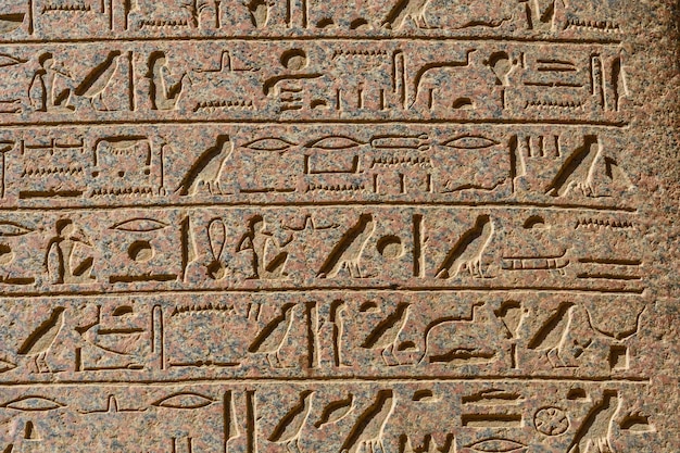 写真 石の壁にエジプトの古代の象形文字