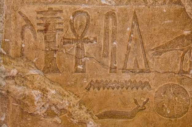 Egyptian ancient hieroglyphs on the stone wall