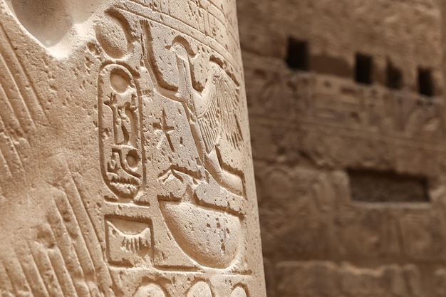 Египетские иероглифы в Луксорском храме Луксор Египет