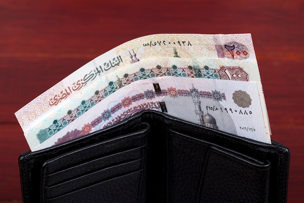 Egyptian money  Pounds in the black wallet