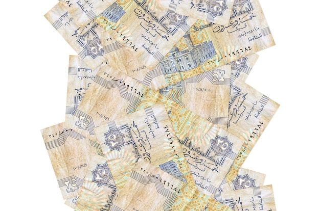 Photo egyptian pounds bills on a white background