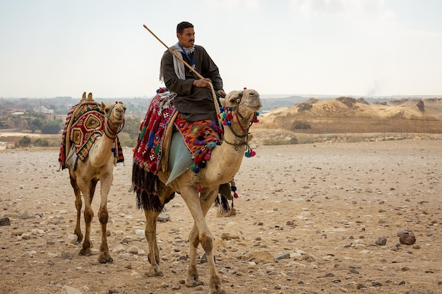 Egyptian rides a camel near the Egyptian pyramid