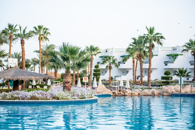 Hotel tropicale egiziano con piscina