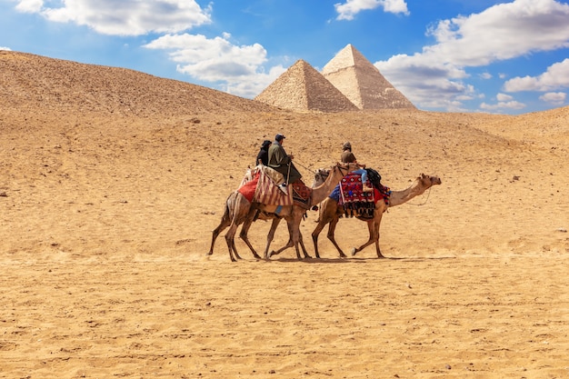 Egyptische mannen op kamelen in het zand van gizeh bij de piramides.