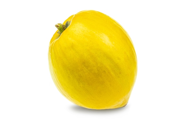 Ei fruit of canistel op witte achtergrond Wetenschappelijke naam pouteria campechiana