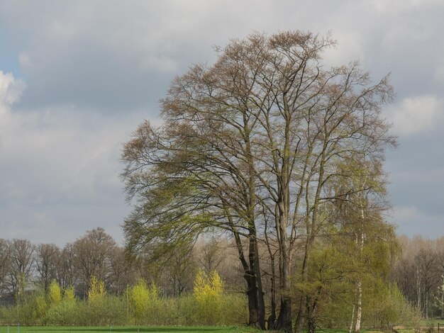 Photo eibergen in holland