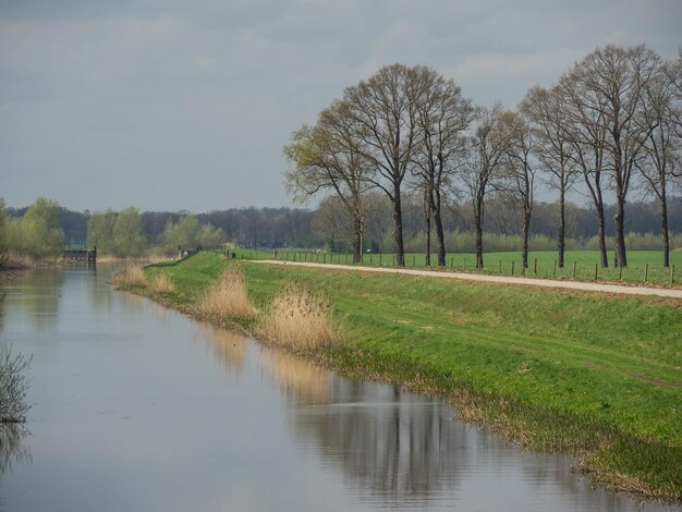 Foto eibergen in nederland