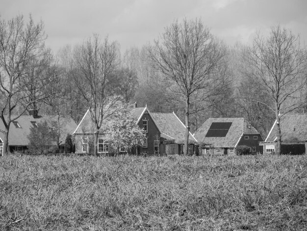 Photo eibergen in the netherlands