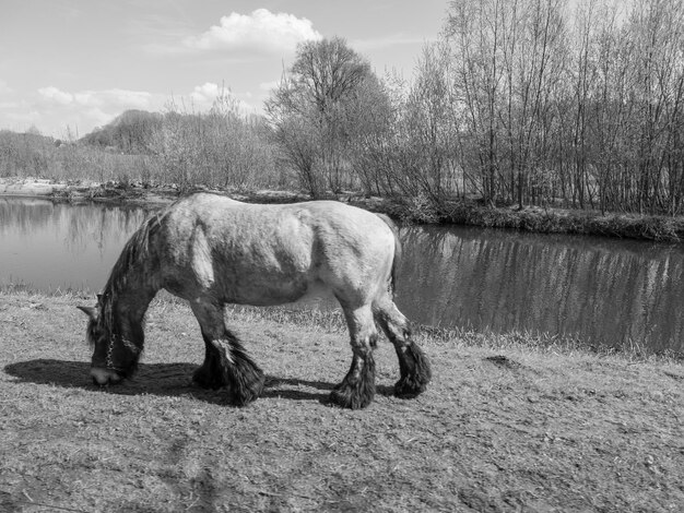 Photo eibergen in the netherlands