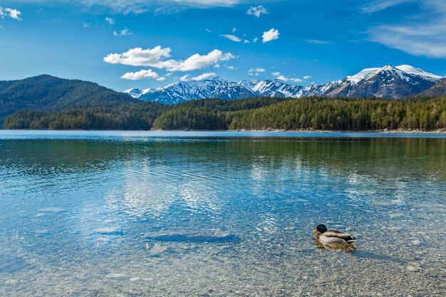 Eibsee lake Germany