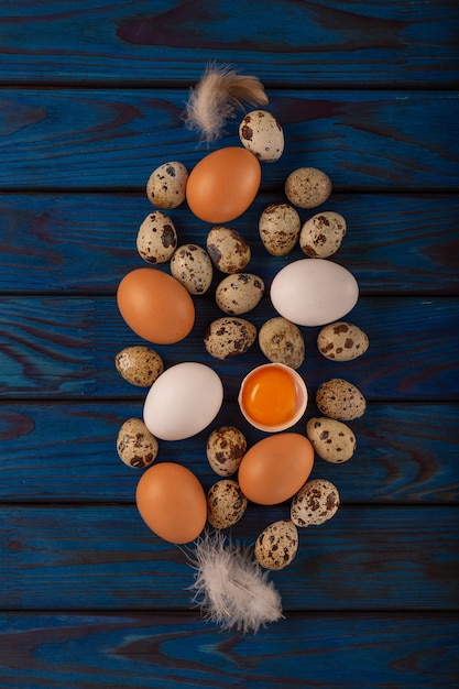 Eieren en veren Pasen-concept