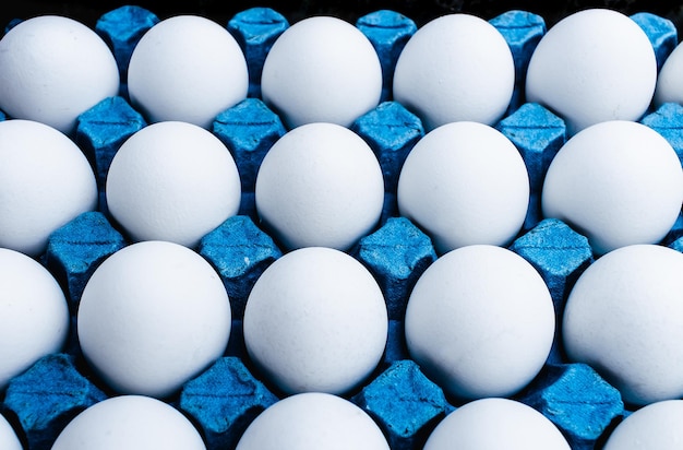 Eieren in blauwe kleurbak in close-up foto en bovenaanzicht