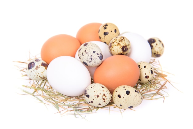 Eieren in een nest dat op wit wordt geïsoleerd