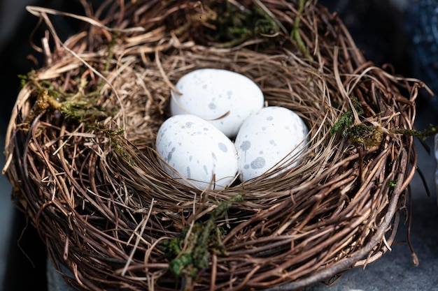 Foto eieren in het nest decoratie