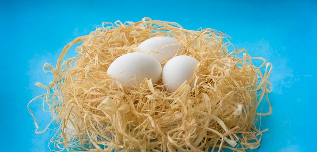 Eieren in het nest op een blauwe achtergrond