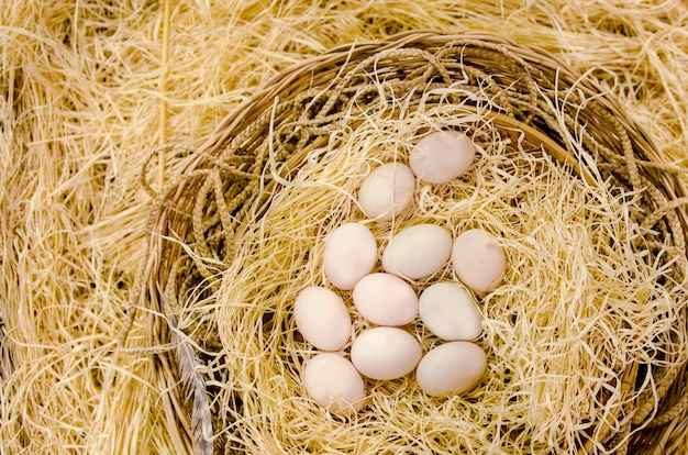 Eieren in het nest op natuurlijke achtergrond met lege exemplaarruimte