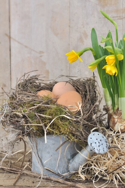 Eieren in nest