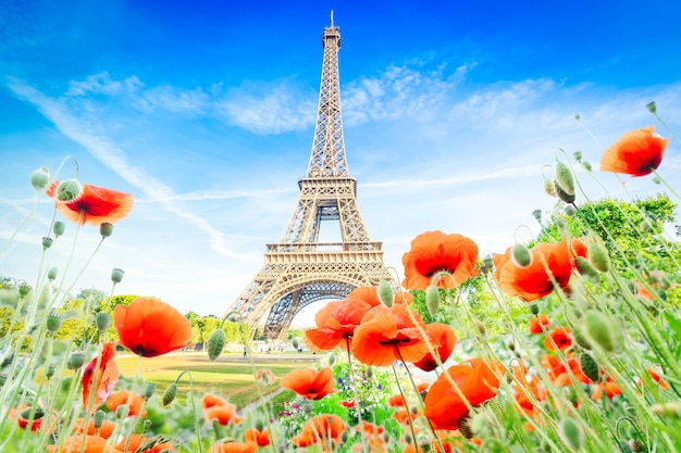 Eiffel tour and Paris cityscape