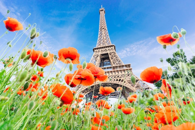 Eiffel tour and Paris cityscape