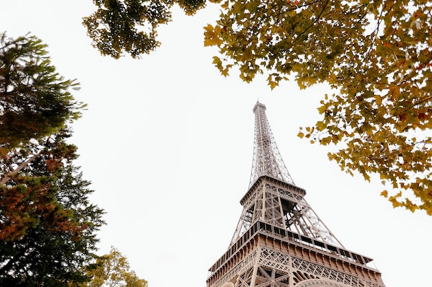 Eiffel tower in autumn. France trip during vacation.