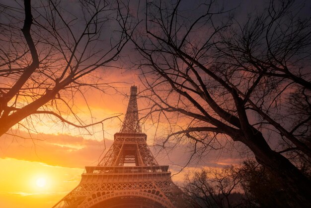 eiffel tower in the center of paris