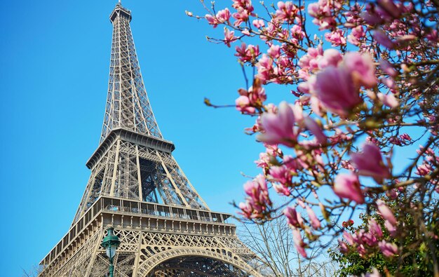 Photo eiffel tower landscape