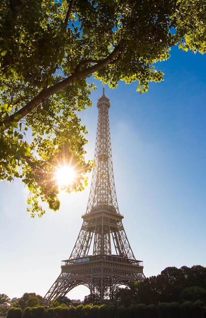 The Eiffel tower in the morning