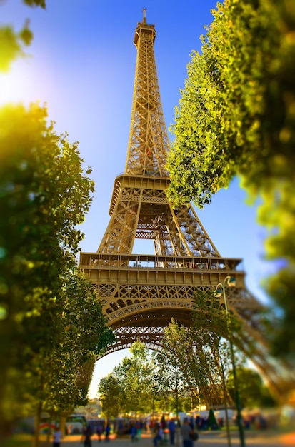 Эйфелева башня в парке во второй половине дня. Париж