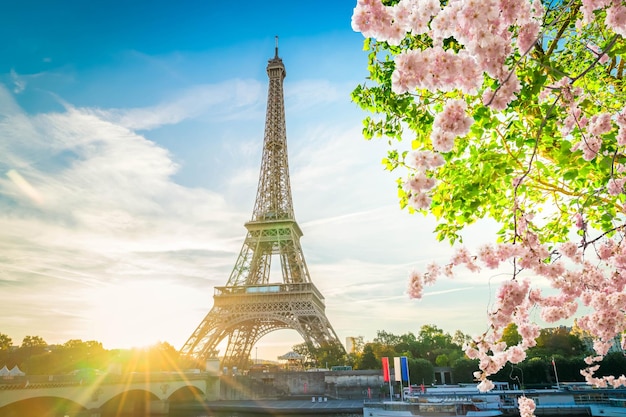 Eiffel Tower over Seine river with tree and spring tree flowers Paris France