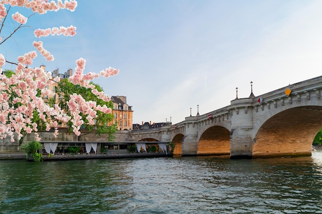 Photo eiffel tower and seine riverbank low angle view paris france at spring