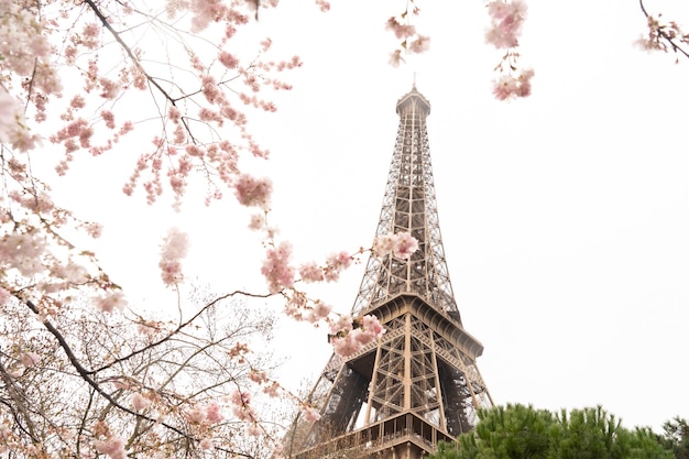 Eiffeltoren en vanaf Trocadero Parijs