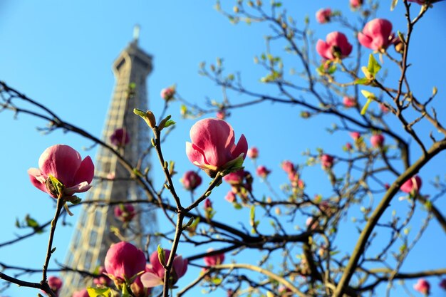 Eiffeltoren in de lente, Parijs, Frankrijk