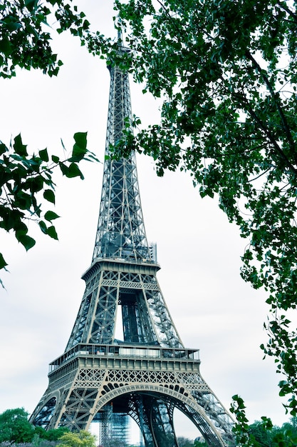 Eiffeltoren op de achtergrond met bomen op de voorgrond in staand formaat