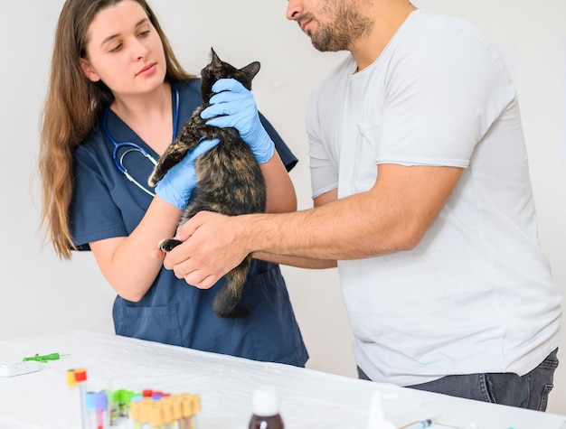 Eigenaar aait mooie kat terwijl dierenarts de diagnose en behandeling van de conditie van het huisdier controleert