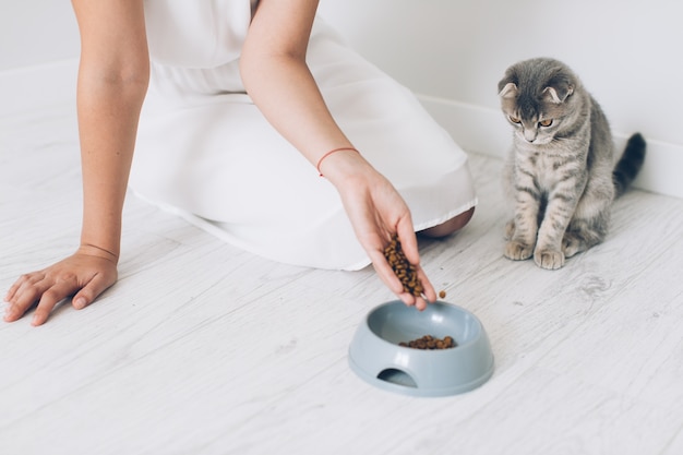 Foto eigenaar die voedsel aan kattenkom zet