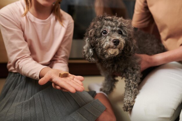 Eigenaar geeft traktatie aan hond