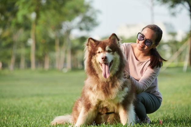 Eigenaar Patting Fluffy Samoyed Dog