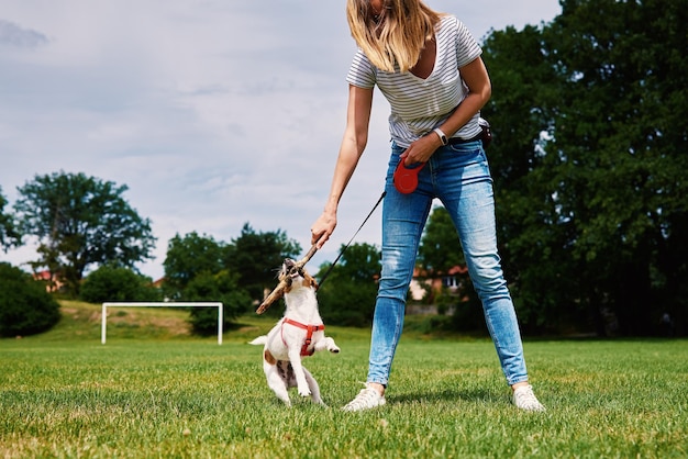 Eigenaar speelt met hond op groen veld Vrouw traint haar hond huisdier bijt stok terwijl ze buiten loopt