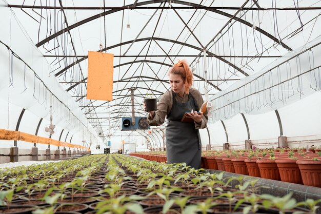 eigenaar van een klein bedrijf of professionele tuinman onderzoekt jonge planten in kas