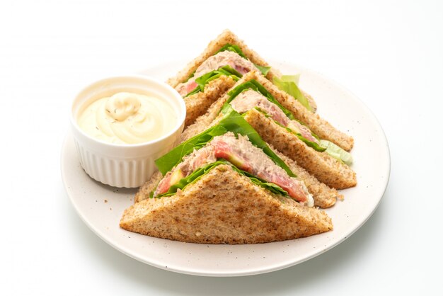 Eigengemaakt tuna sandwich op witte achtergrond