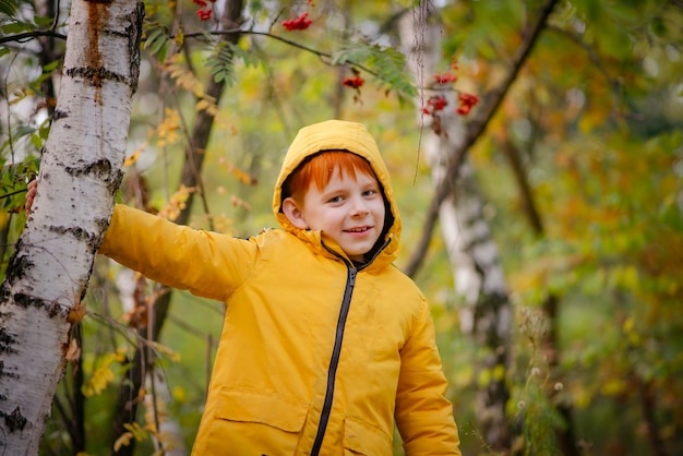 Eight year old redhaired boy in a yellow jacket in the autumn\
forest