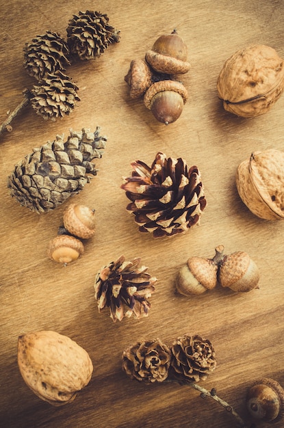 Eikel, walnoot en kegel op houten tafel.