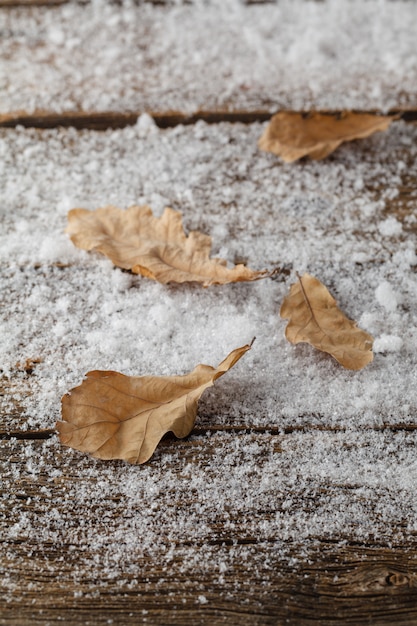 Foto eiken bladeren in de sneeuw