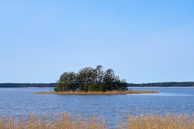 Eiland aan de kust van de Oostzee in Finland in het voorjaar.