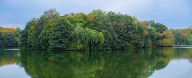 Eiland begroeid met bomen. Wild natuur. Foto die uit een boot wordt genomen.