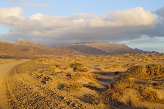 Eiland Fuerteventura